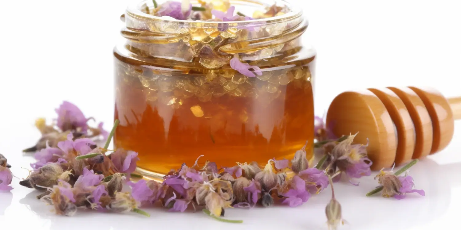 Miód wrzosowy kiedy zbiór?