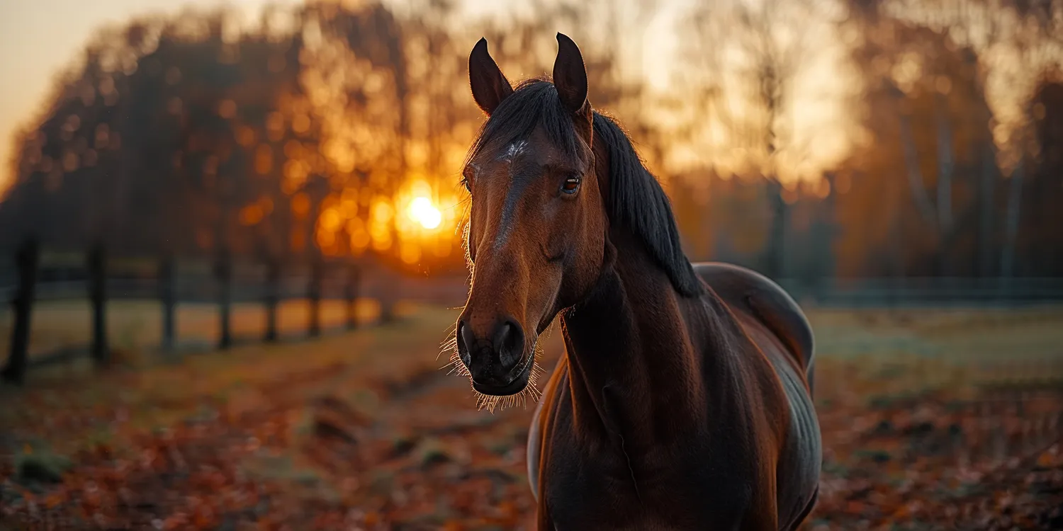 Krematorium przystosowane do zwierząt